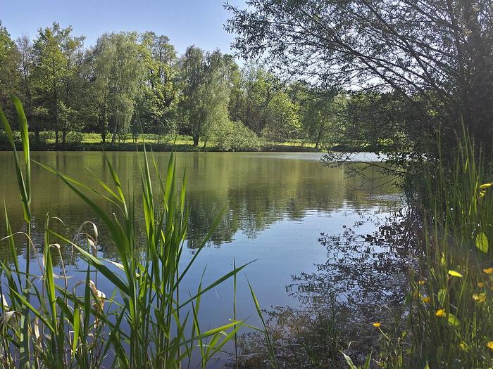 Anet — Immobilier — CENTURY 21 Agence de Diane — Etang_Roger_Vinette