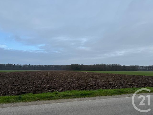 terrain - CHAMPIGNY LA FUTELAYE - 27