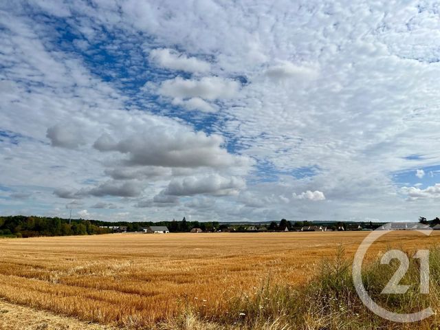 terrain à vendre - 26225.0 m2 - ANET - 28 - CENTRE - Century 21 Agence De Diane
