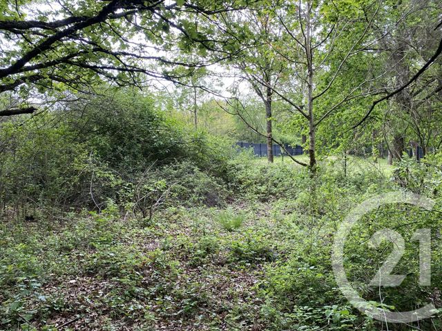 terrain à vendre - 1490.0 m2 - MARCILLY SUR EURE - 27 - HAUTE-NORMANDIE - Century 21 Agence De Diane terrain à vendre - 1490.0 m2 - MARCILLY SUR EURE - 27 - HAUTE-NORMANDIE - Century 21 Agence De Diane